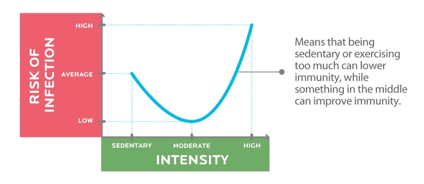 Kurva J-curve antara intensitas olahraga dan sistem imun tubuh